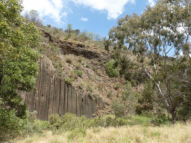 (20) The Organ Pipes - Organ Pipe NP.JPG